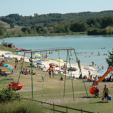 Rouge-gorge - Tg2189 * Molières