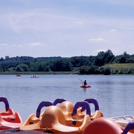 Rouge-gorge - Tg2189