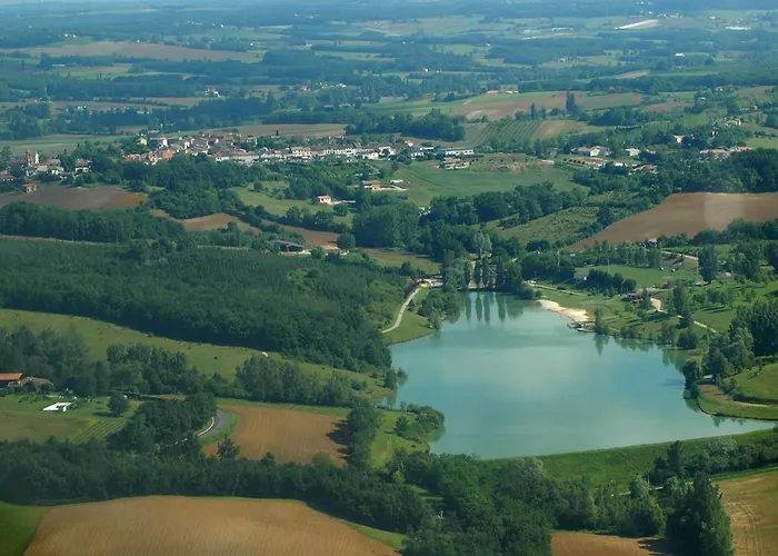 Rouge-gorge - Tg2189 * Molières