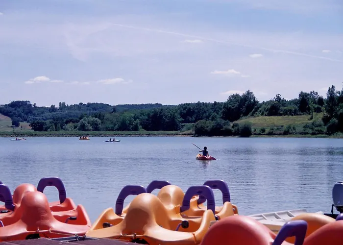 Rouge-gorge - Tg2189